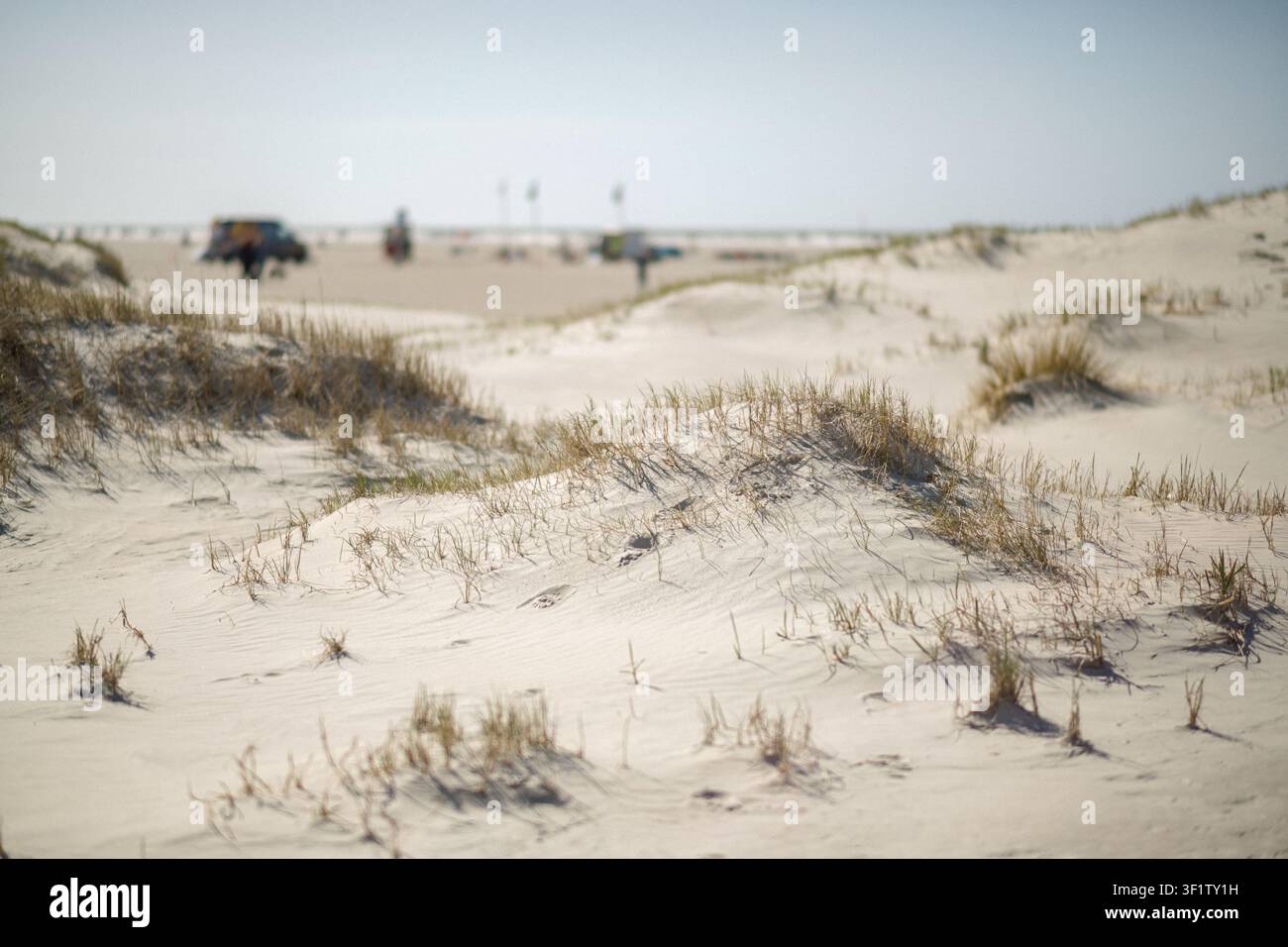 Dune di sabbia con erba di mare sulla costa del Mare del Nord, Germania Foto Stock