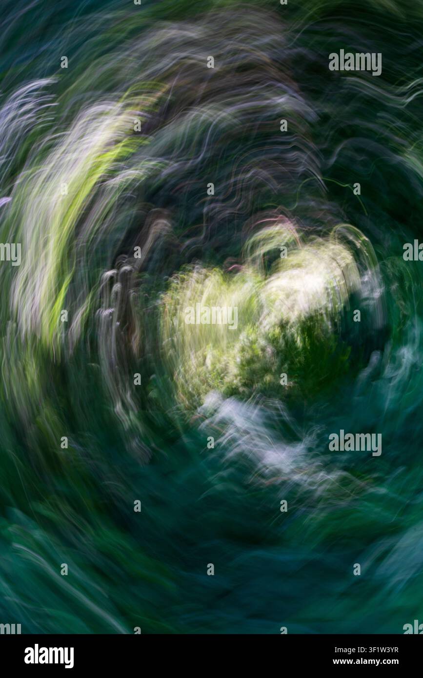 Modello di texture ICM astratto creato attraverso un movimento intenzionale della fotocamera, con linee vorticose di verde e bianco, che evoca un senso di natura Foto Stock