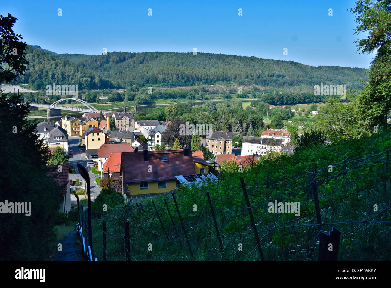 Rathmannsdorf vicino a Bad Schandau, coltivazione della vite a Bad Schandau Foto Stock