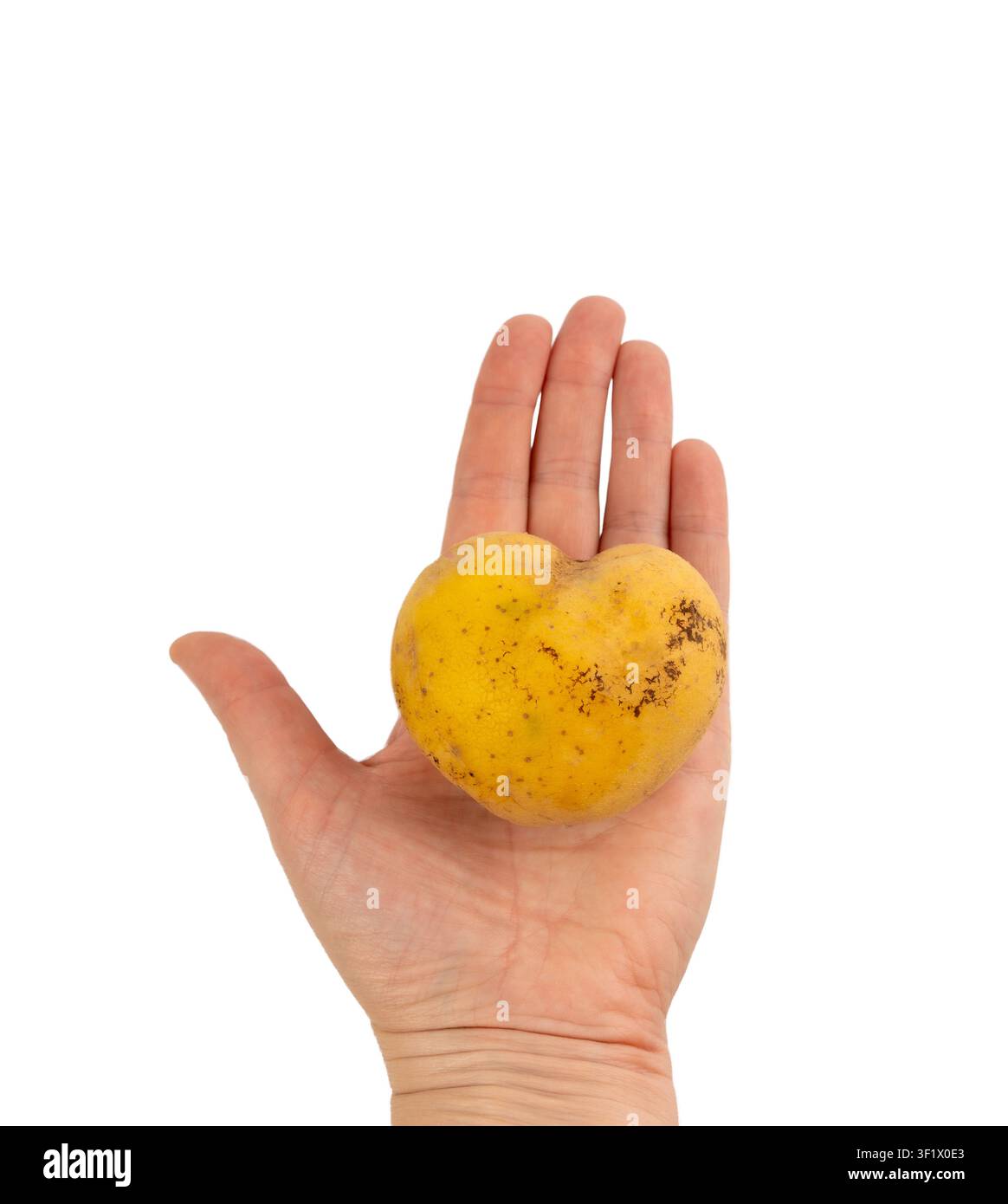 Cuore di patata, patata a forma unica di cuore, verdura insolita, simpatica patata vegetale di San Valentino, scoperta rara, patata brutta e divertente, simbolo d'amore vegetale Foto Stock