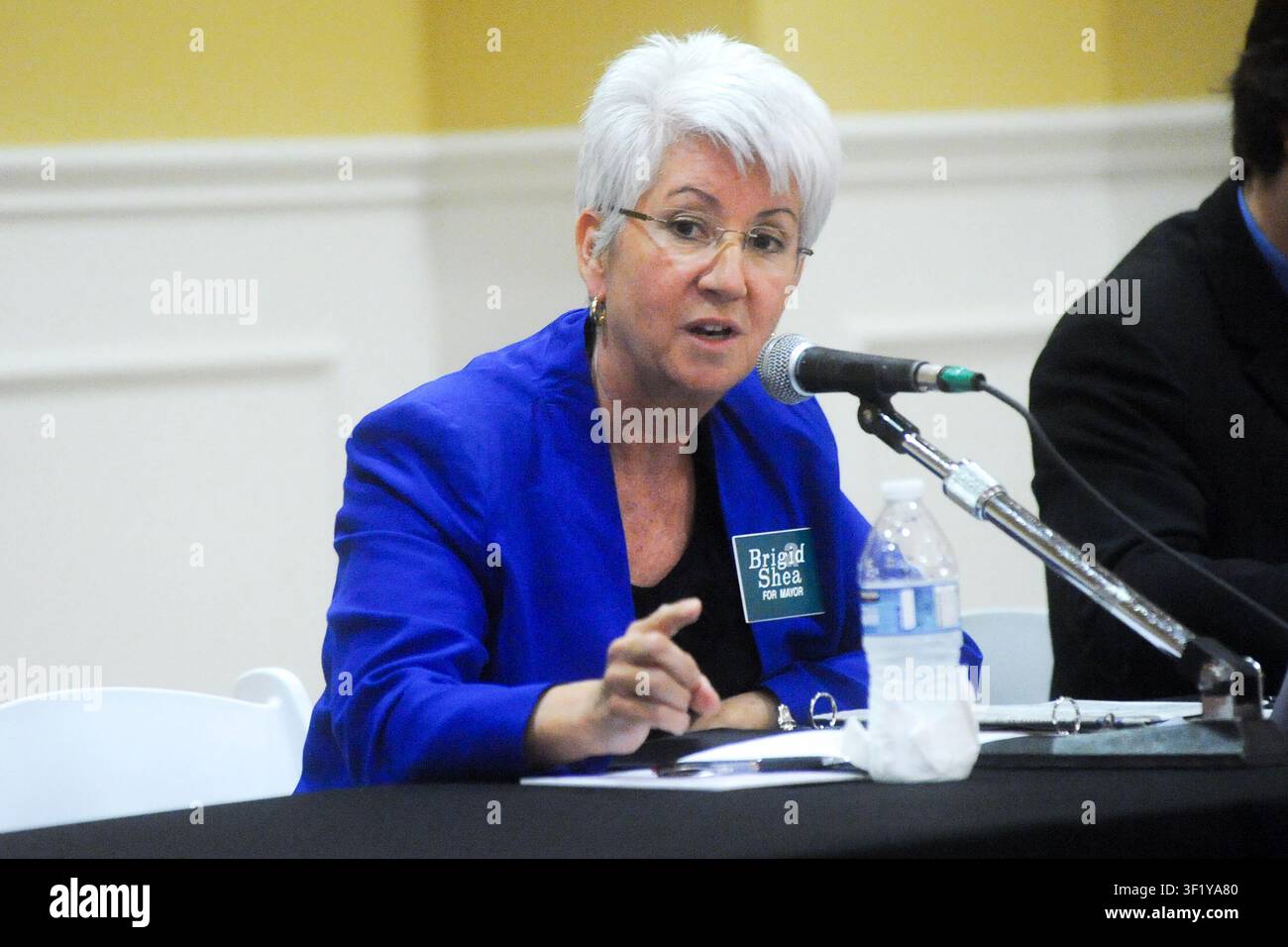 Brigid Shea durante un forum di candidati, Austin, Texas, 16 aprile 2012. (Foto di John Anderson/The Austin Chronicle) Foto Stock