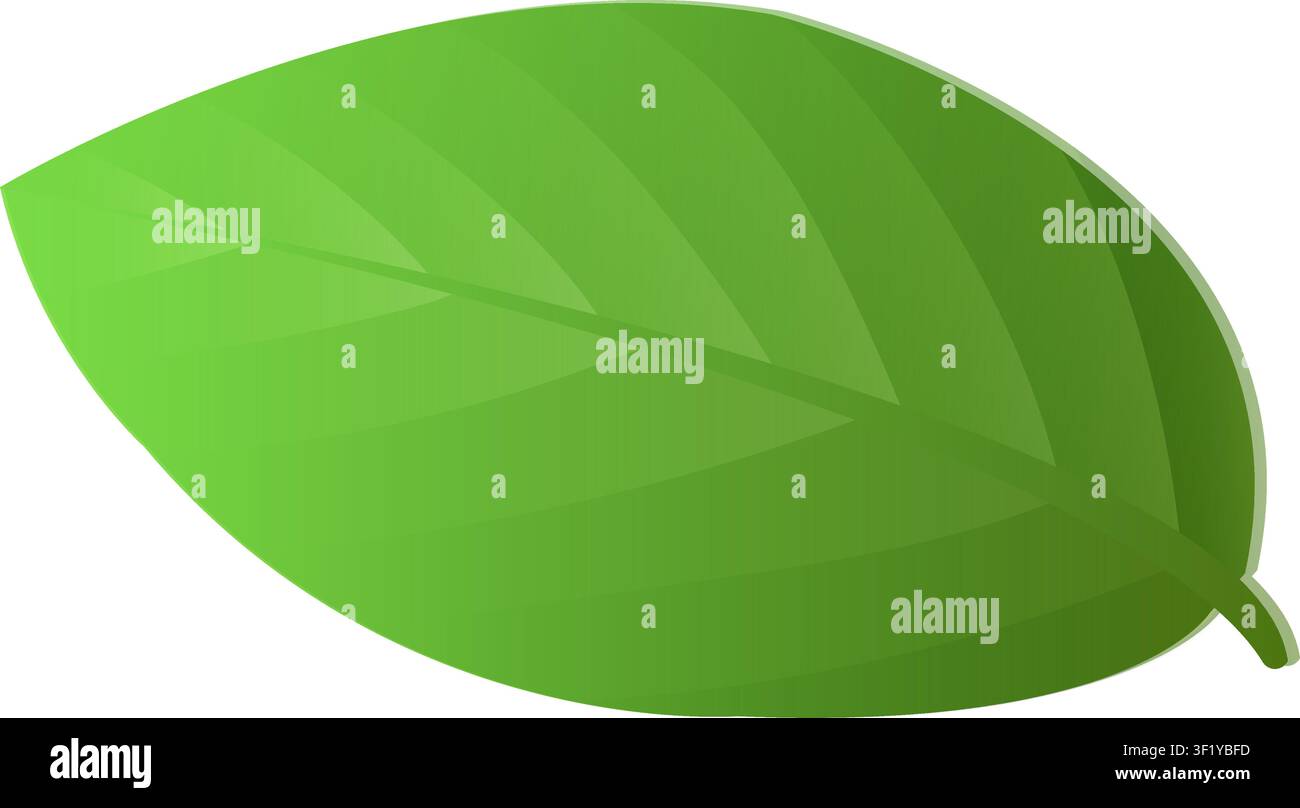 Un'illustrazione di una foglia verde vibrante con un ritaglio circolare pulito ed effetti di profondità realistici su uno sfondo bianco semplice. Illustrazione Vettoriale