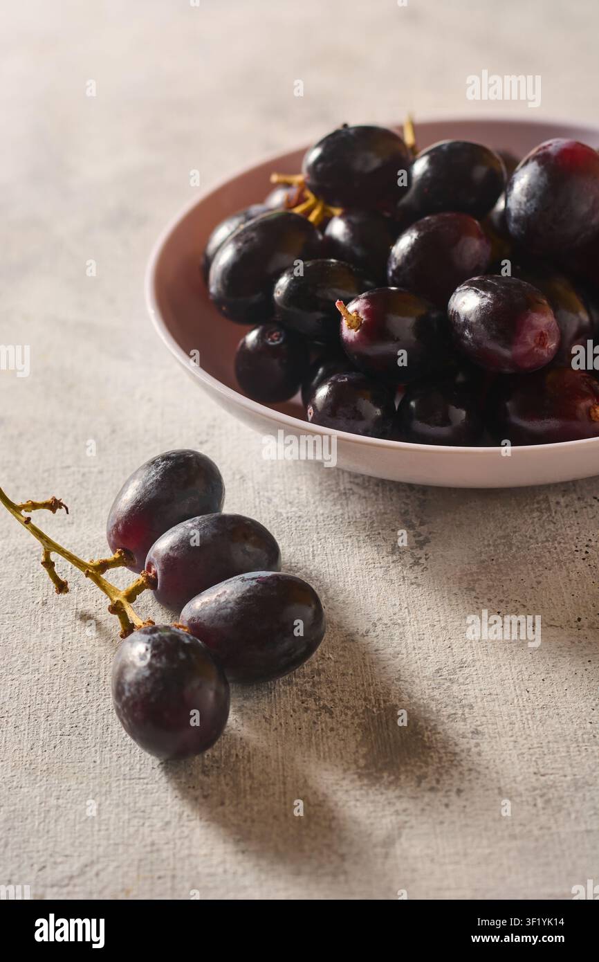 uva viola scura fresca in una ciotola su una superficie grigia testurizzata, grappolo di frutti dolci maturi con gambi, in primo piano con messa a fuoco morbida e spazio per il testo Foto Stock