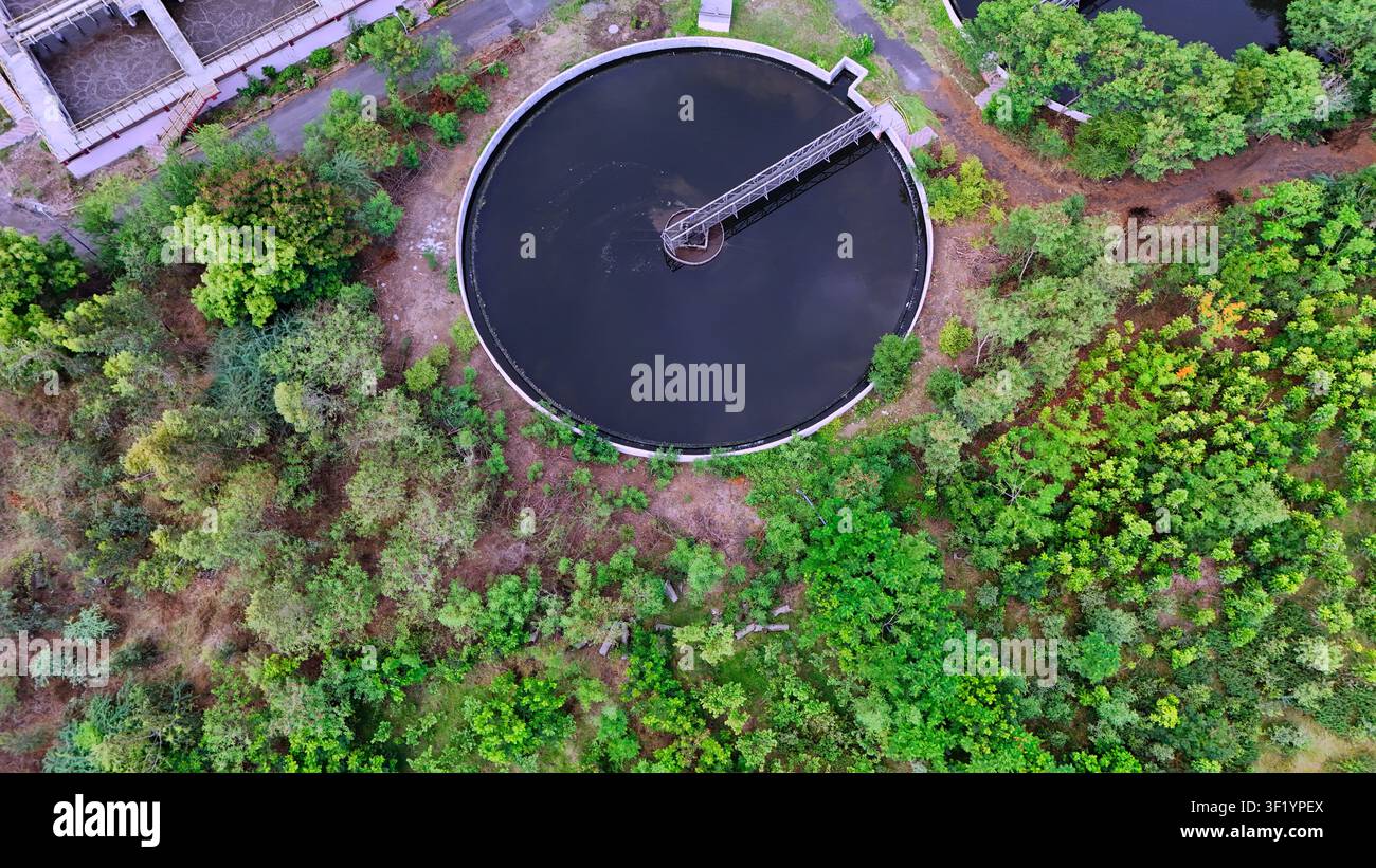 Vista aerea dall'alto di un chiarificatore circolare per il trattamento delle acque reflue circondato da vegetazione verde Foto Stock