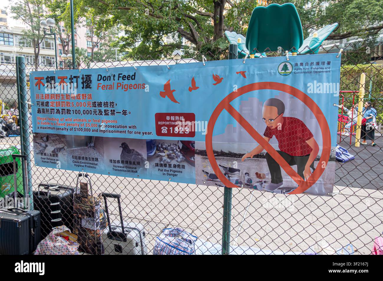 Il banner, avviso ufficiale di sensibilizzazione del pubblico dell'AFCD per informare la popolazione sul divieto cittadino di nutrire i piccioni selvatici. Hong Kong Foto Stock