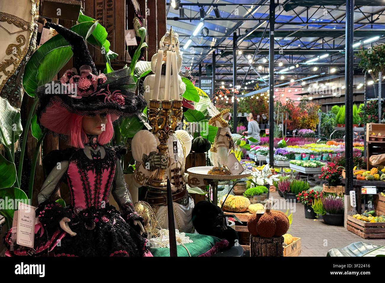 Manichino vestito da strega con capelli rosa e costume ornato, vetrina di vendita al dettaglio stagionale, centro di giardinaggio autunnale, merchandising festivo per le feste. Varsavia Foto Stock