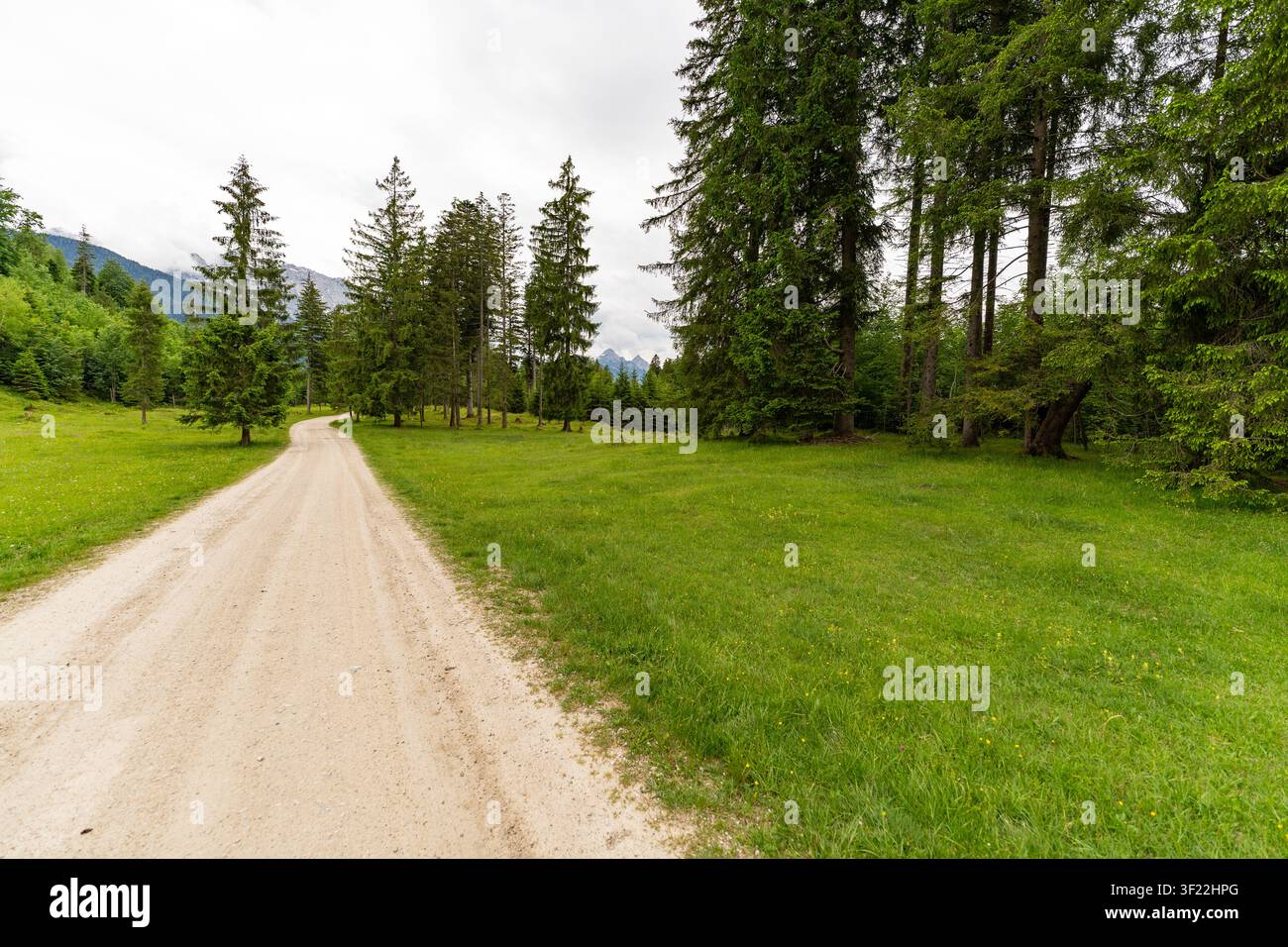 Un sentiero di ghiaia si snoda attraverso prati rigogliosi e foreste di pini alti vicino a Mittenwald, Germania. In lontananza, le vette alpine sono parzialmente vi Foto Stock