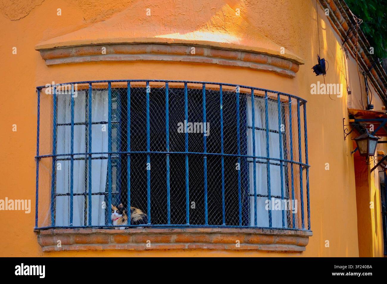 Edificio angolare rotondo e arancione insolito (Città del Messico, Messico) Foto Stock