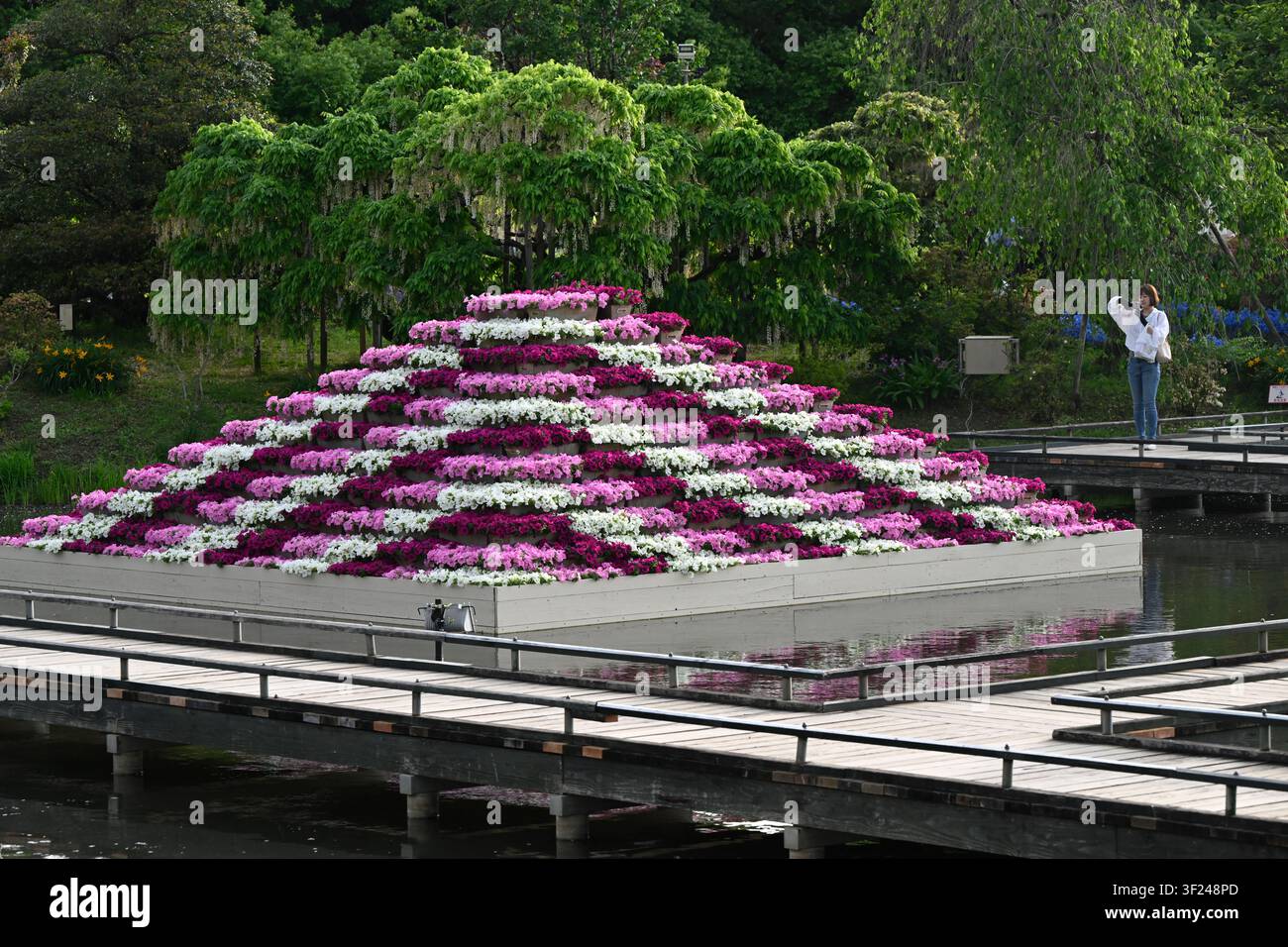 Una spettacolare esposizione floreale di petunie rosa, viola e bianche circondate da stagni e alberi di glicine in fiore al Ashikaga Flower Park, uno dei Japan' Foto Stock