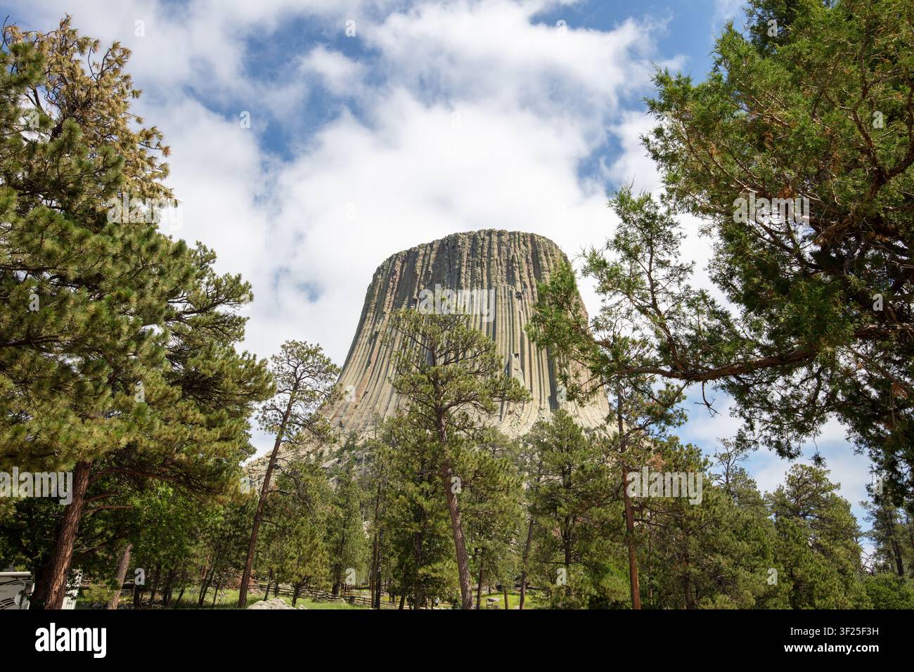 Il Devils Tower National Monument si erge sopra gli alberi di pino circostanti sotto un cielo parzialmente nuvoloso. Foto Stock