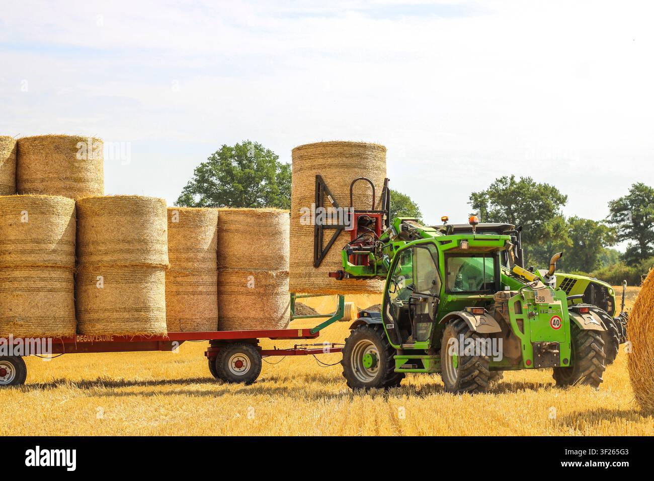 Trattore che trasporta rotoli di erba tagliata in un campo rurale Foto Stock