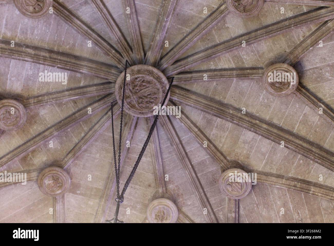 Soffitto nella Lonja de la Seda (Borsa della Seta), un edificio dell'era medievale a Valencia, Spagna Foto Stock