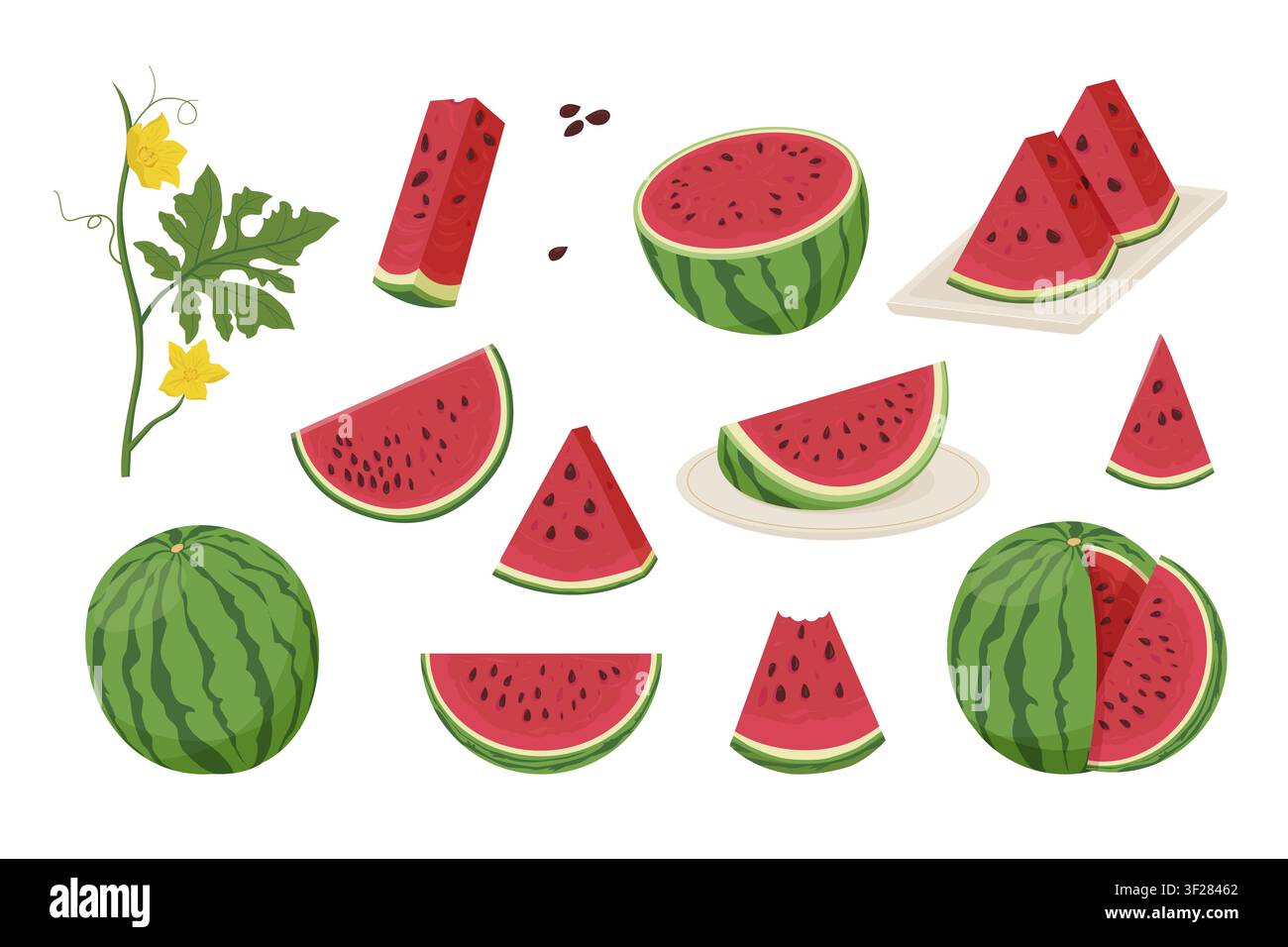 Set di anguria. Anguria intera e affettata matura Illustrazione Vettoriale