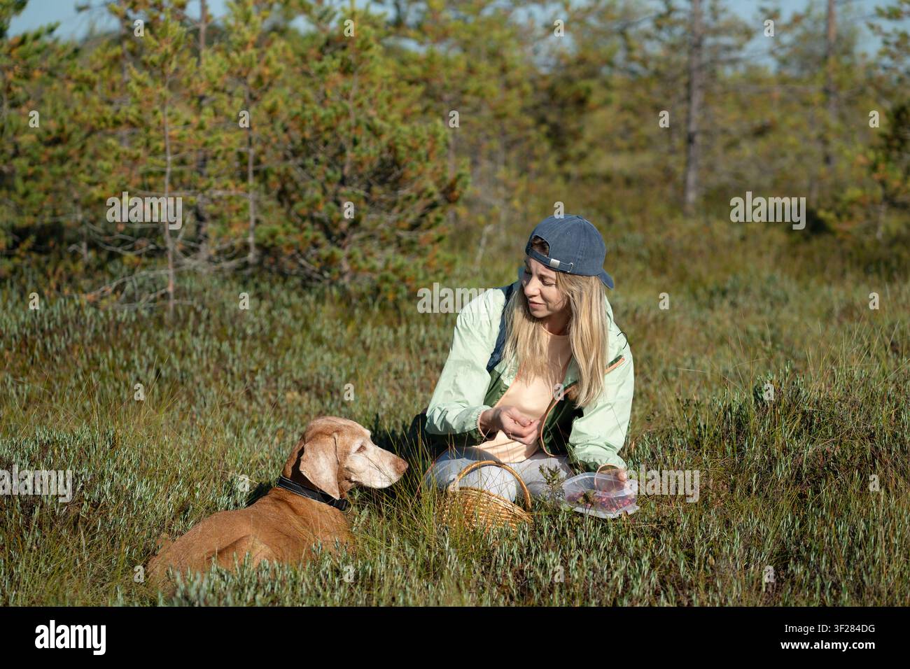 Donna allegra con cane che raccoglie bacche e erbe selvatiche nella palude della foresta selvaggia. Foto Stock
