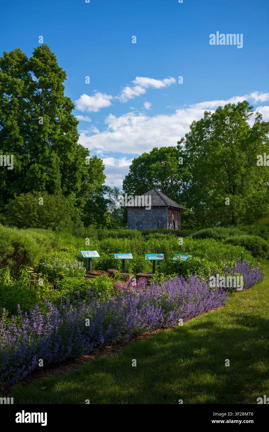 Toronto, Ontario, Canada – 20 giugno 2026: Il Franklin Children's Garden è un giardino interattivo per famiglie nel Toronto Island Park, che è stato ispirato Foto Stock