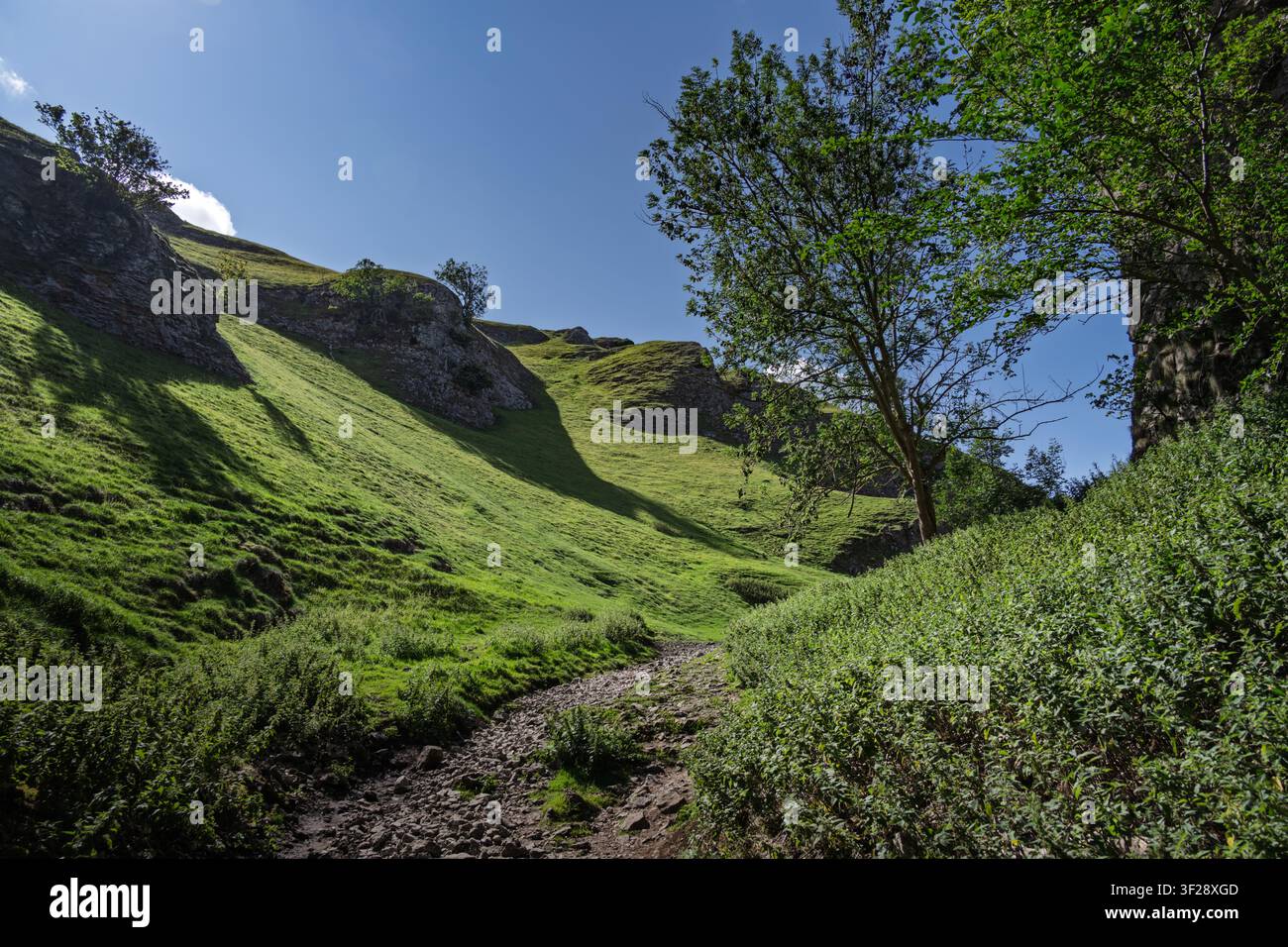 Un sentiero escursionistico roccioso e non asfaltato sale attraverso la ripida valle calcare di Cave Dale, circondata da pendici verdi a Castleton, Derbyshire, Regno Unito Foto Stock