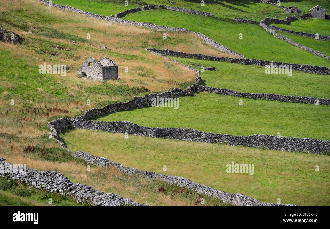 Una vista elevata di un fienile in pietra abbandonato circondato da una rete storica di mura a secco e campi verdi sull'altopiano del Peak District, Regno Unito Foto Stock