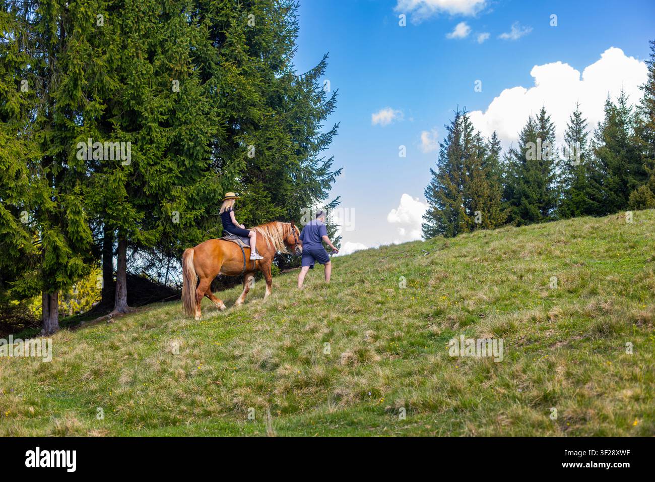 Donna che cavalca un cavallo su una collina erbosa. Una donna cavalca un cavallo sauro mentre un uomo cammina davanti a lei su una collina erbosa soleggiata delimitata da alti Foto Stock