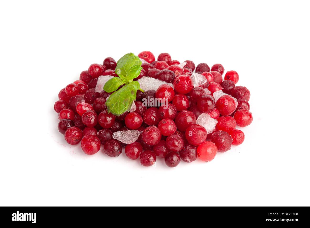 Mucchio di mirtilli rossi congelati isolato, mirtillo ghiacciato, mucchio di mirtilli sulla neve, bacche di viburno rosse, mirtillo congelato su sfondo bianco Foto Stock