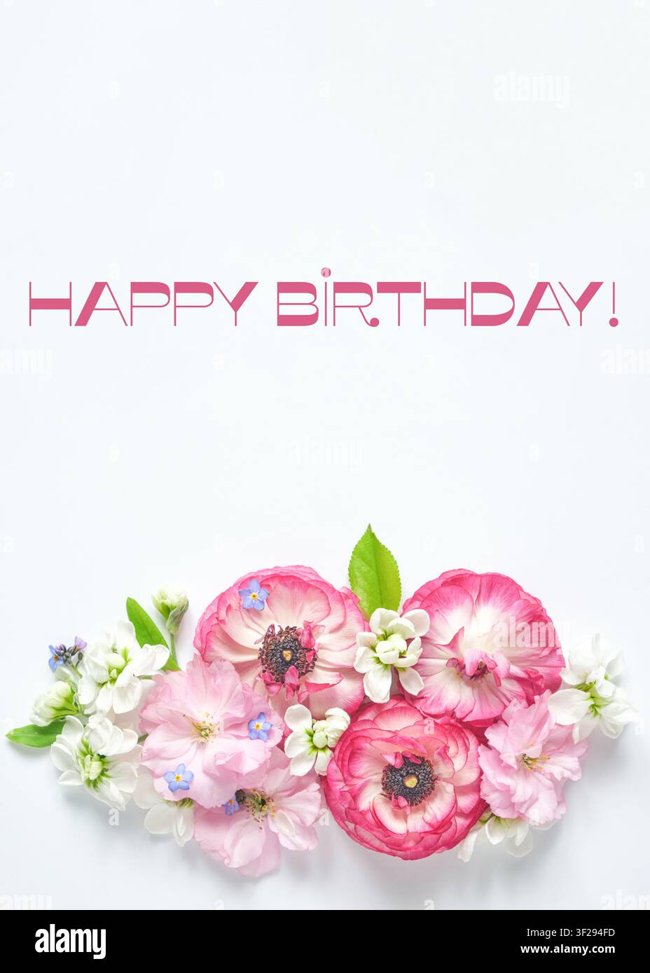 Biglietto di compleanno minimale con composizione floreale rosa in basso, spazio bianco libero, luce soffusa, saluto elegante Foto Stock