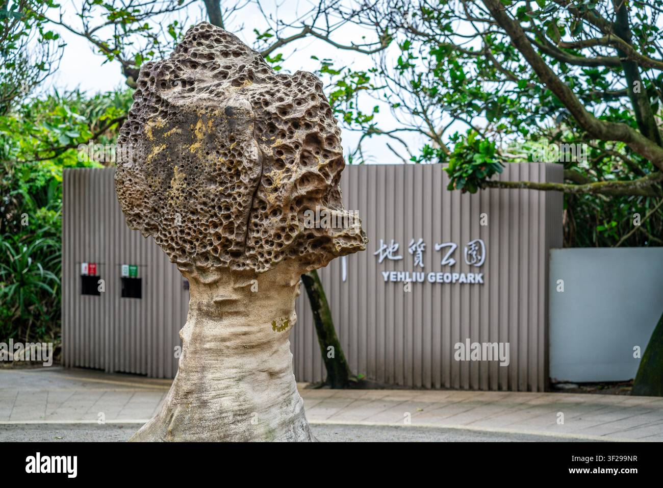 Nuova Taipei, Taiwan, 21 gennaio 2026: Formazione rocciosa del parco Yehliu sullo sfondo nel geoparco di Yehliu a Taiwan Foto Stock