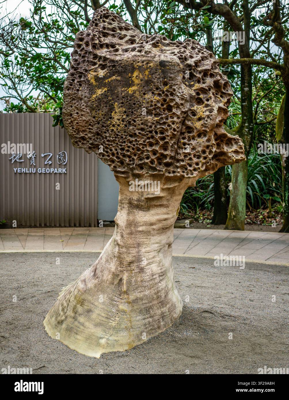 Nuova Taipei, Taiwan, 21 gennaio 2026: Formazione rocciosa del parco Yehliu sullo sfondo nel geoparco di Yehliu a Taiwan Foto Stock