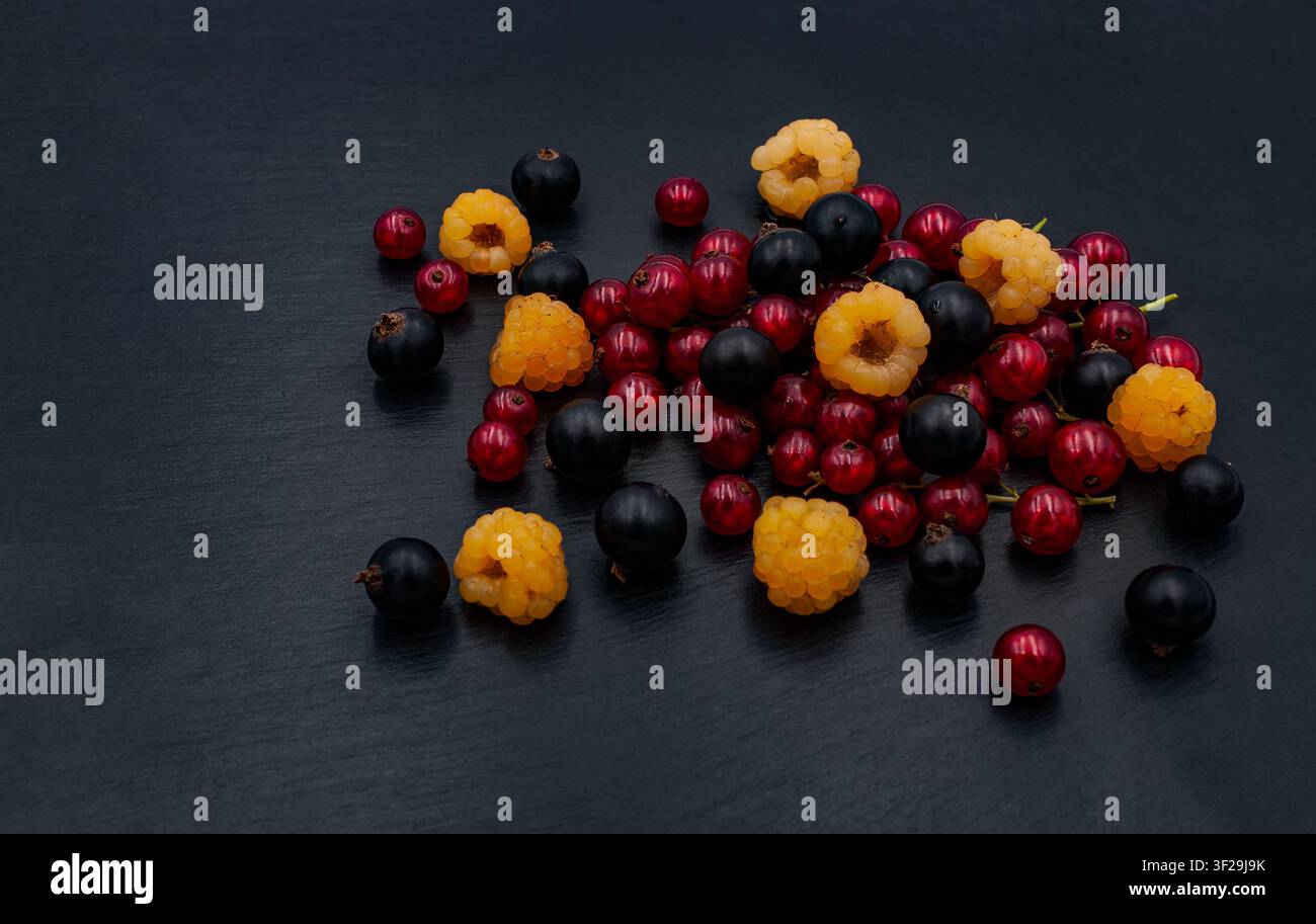 Una varietà di lamponi gialli freschi, ribes rosse e ribes nere su una superficie di ardesia scura Foto Stock