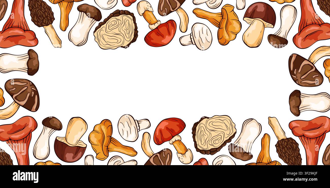 Design di bordo a cornice con funghi forestali commestibili. Miscela di funghi disegnata a mano, boletus, finferli, champignon. Concetto botanico autunnale. Stile cartone animato Illustrazione Vettoriale
