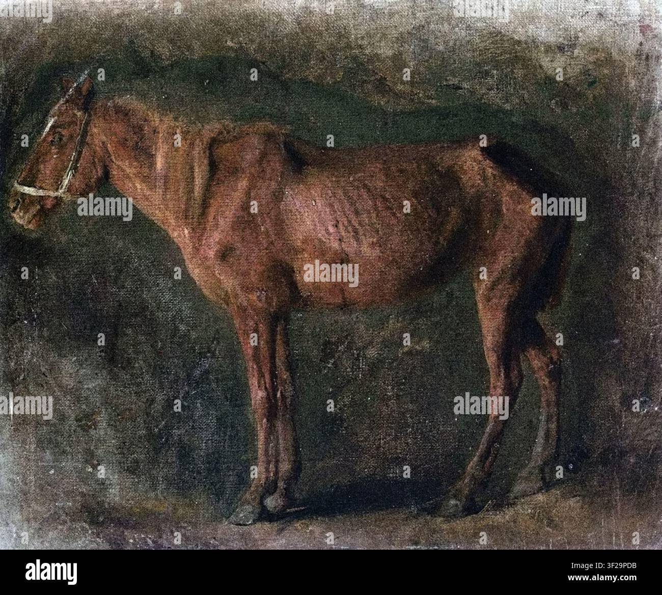 Józef Chełmoński; Studio di un cavallo 1869; studio di un cavallo; un cavallo baio emaciato in piedi di profilo; indossa una briglia semplificata e leggera Foto Stock