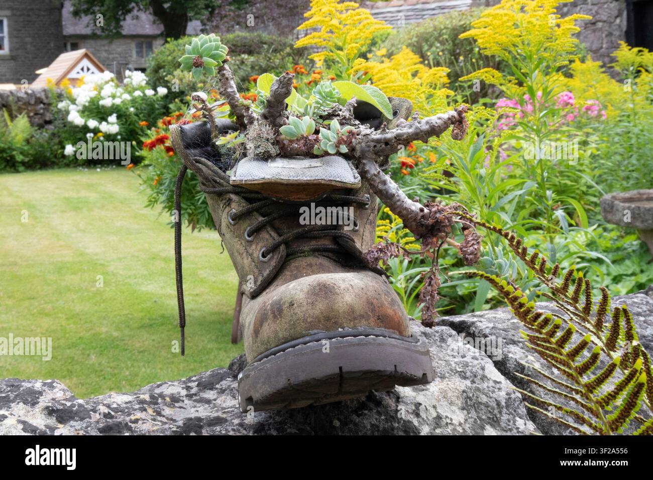 Uno stivale di pelle antico riadattato in modo creativo come vaso per succulente su un muro a secco tradizionale in un giardino di campagna a Tissington, Derbyshire, Regno Unito. Foto Stock