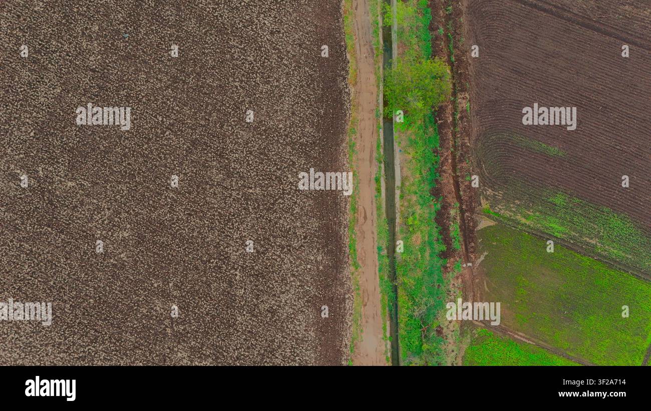 Vista aerea dall'alto di campi agricoli con terreno verde e marrone Foto Stock