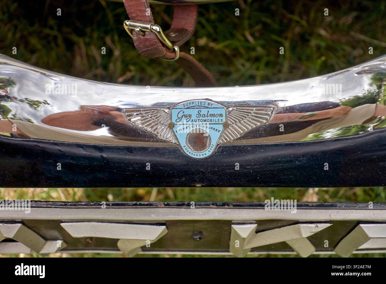 Emblema Guy Salmon su una Jaguar XK 150 S fornita dalla loro filiale di Thames Ditton Surrey nel 1959. Insegne Guy Salmon Foto Stock