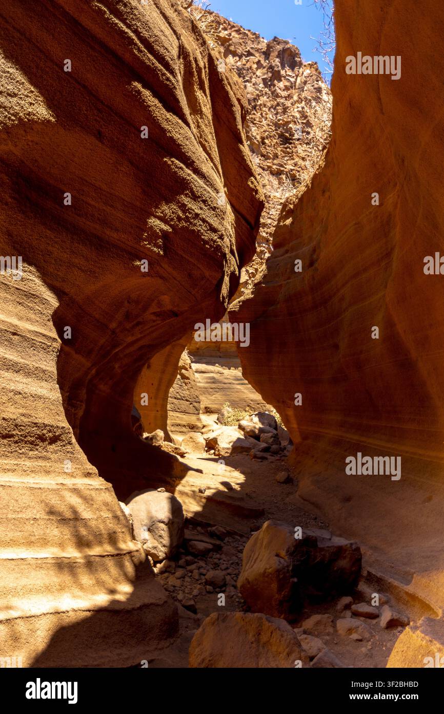 La luce del sole illumina le pareti di arenaria curve e scolpite del Barranco de las Vacas, una stretta gola vicino ad Agüimes, Gran Canaria, Isole Canarie. Foto Stock