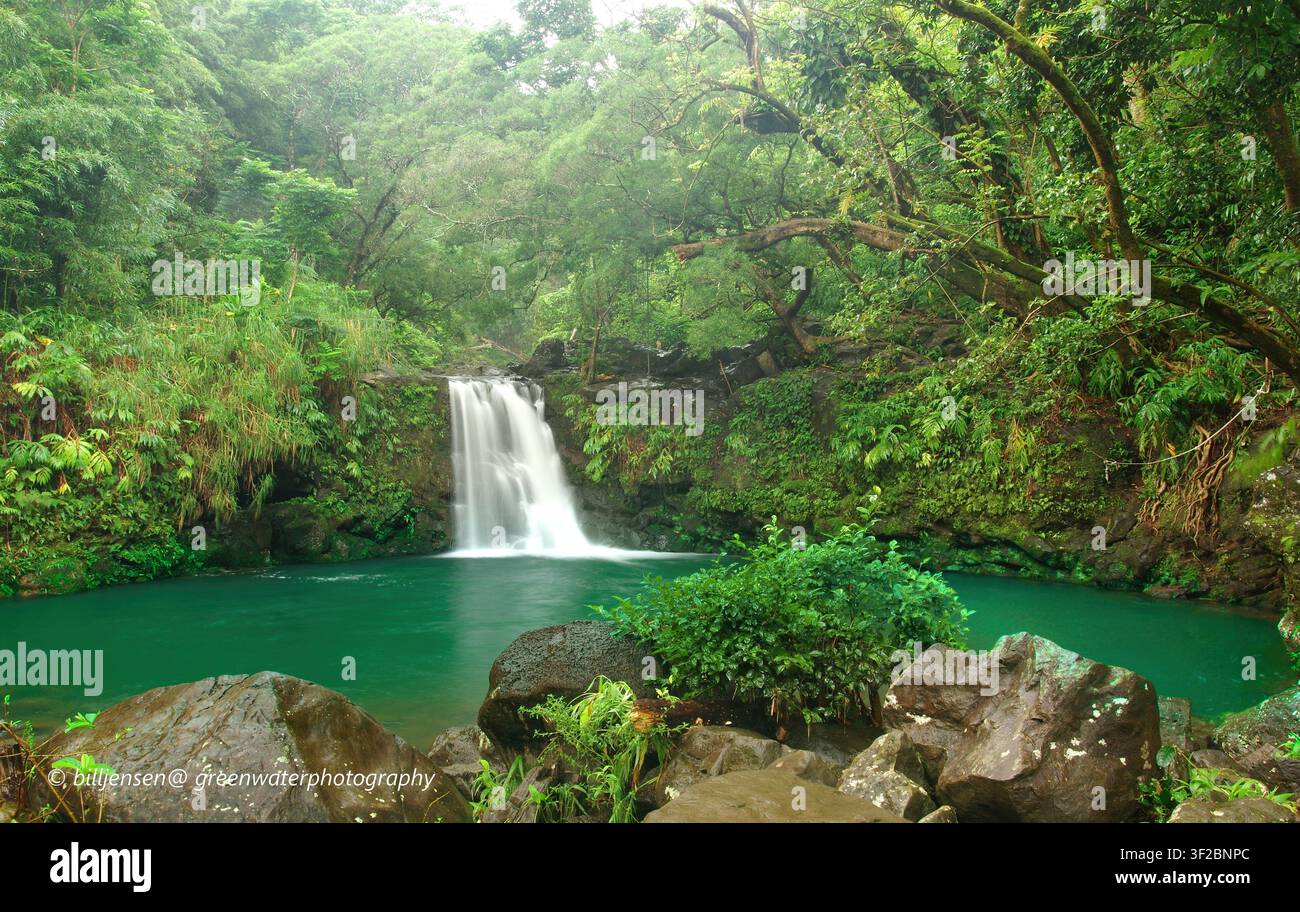 Cascata di Maui Foto Stock