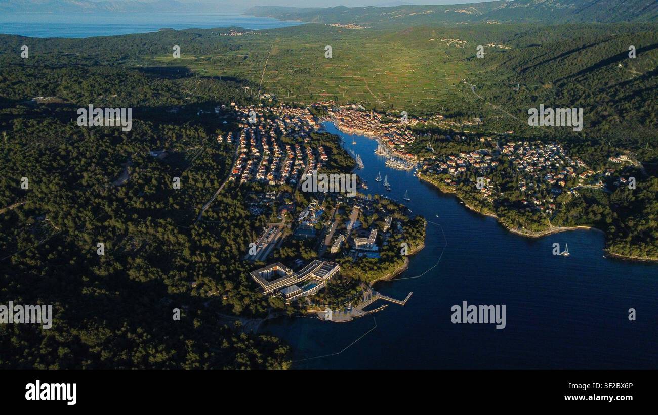 Vista aerea che mostra la città vecchia di Hvar, isola di Hvar, Croazia. Paesaggio costiero mediterraneo con barche, porto e vegetazione rigogliosa Foto Stock
