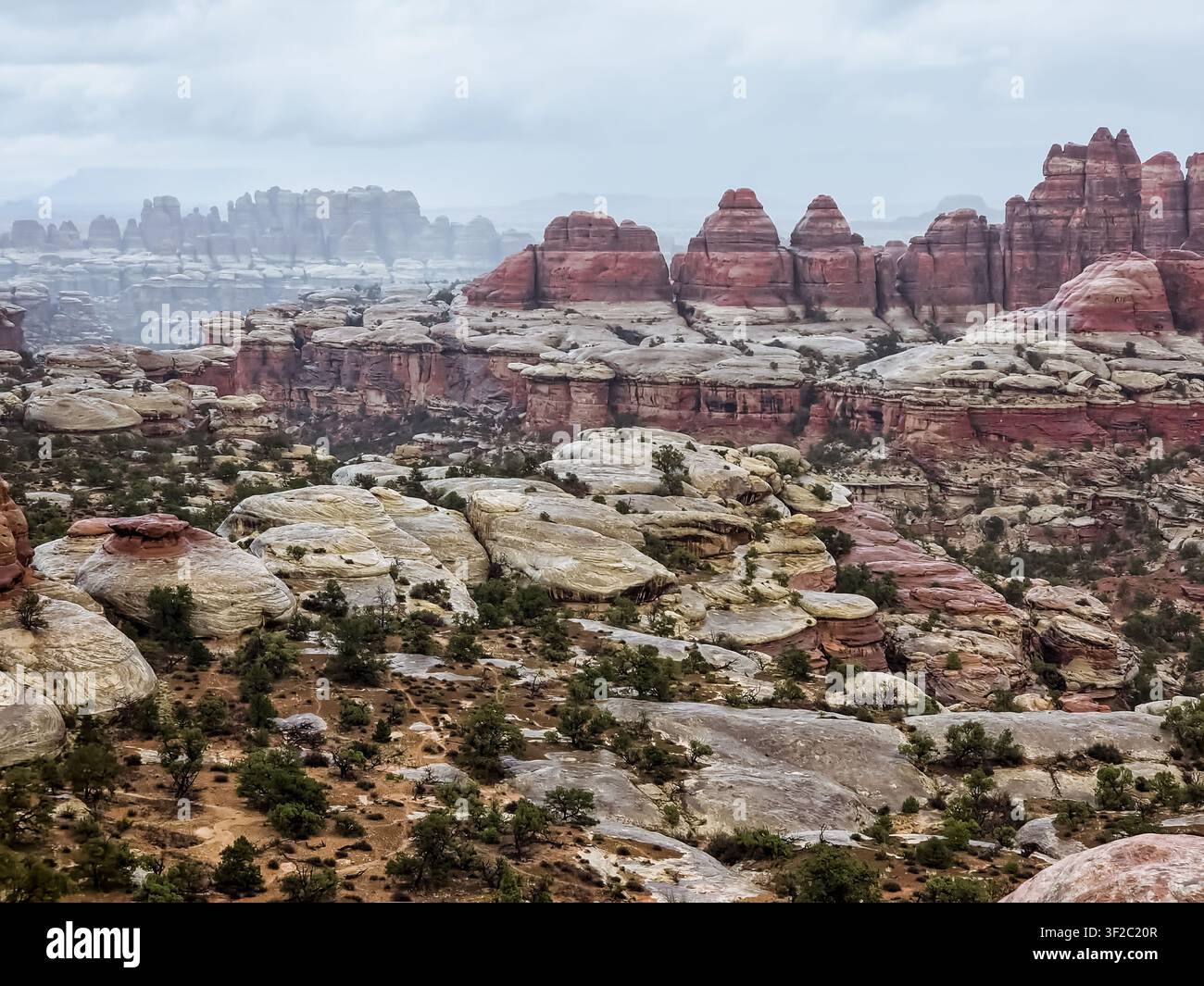 Formazioni rocciose rosse si estendono su un vasto paesaggio desertico nebbioso. Nuvole basse avvolgono le cime lontane in una morbida foschia grigia. Una vegetazione rada punteggia il Foto Stock
