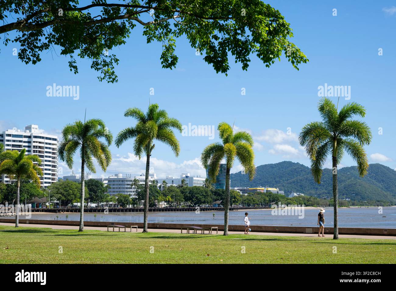 Persone che passeggiano lungo l'Esplanade, Cairns, Far North Queensland, FNQ, Australia Foto Stock