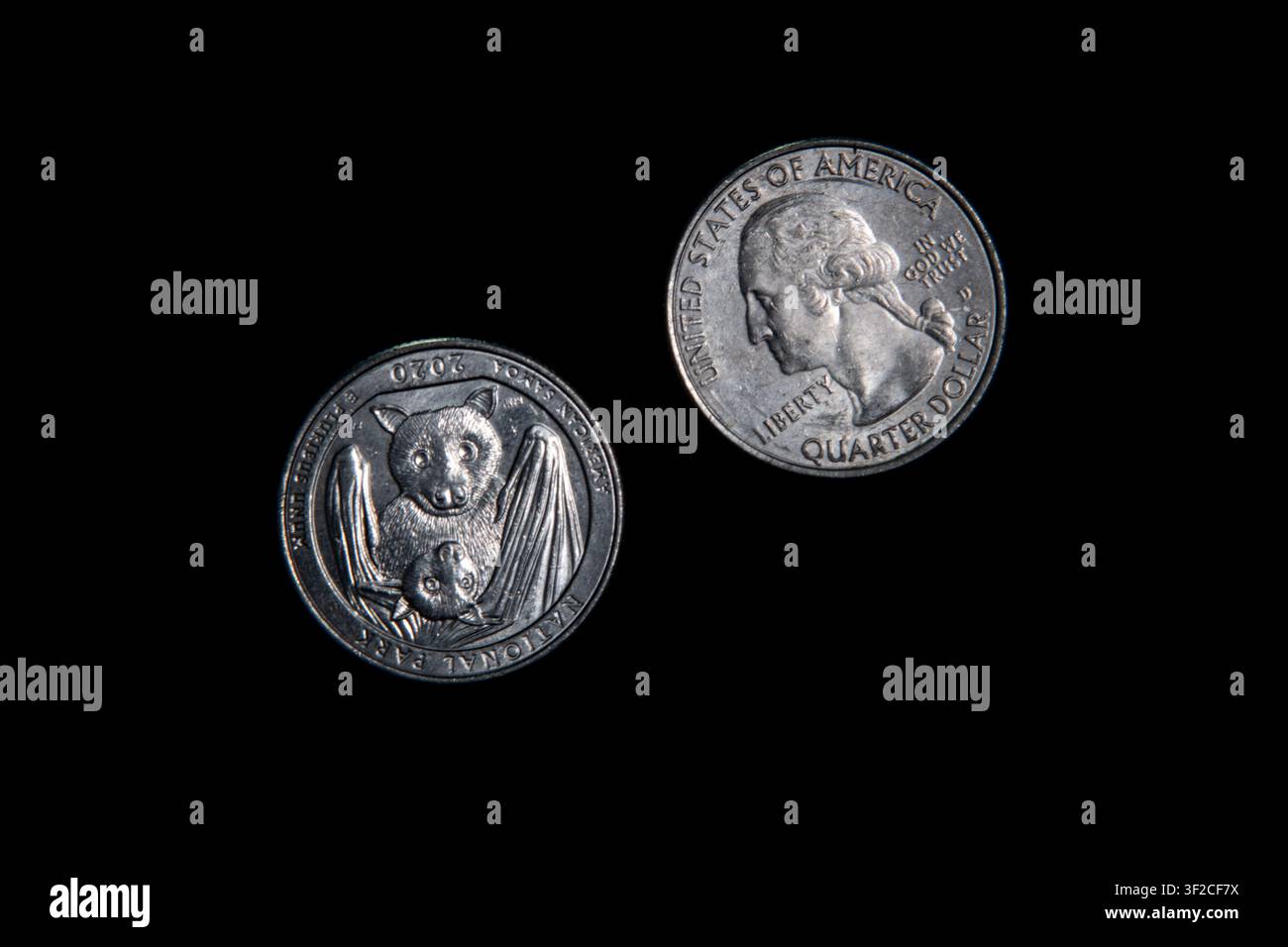 National Park of American Samoa Quarter, una delle monete America the Beautiful del 2020 coniate nel 2020. Mostra un pipistrello frutta samoano su un lato. Foto Stock