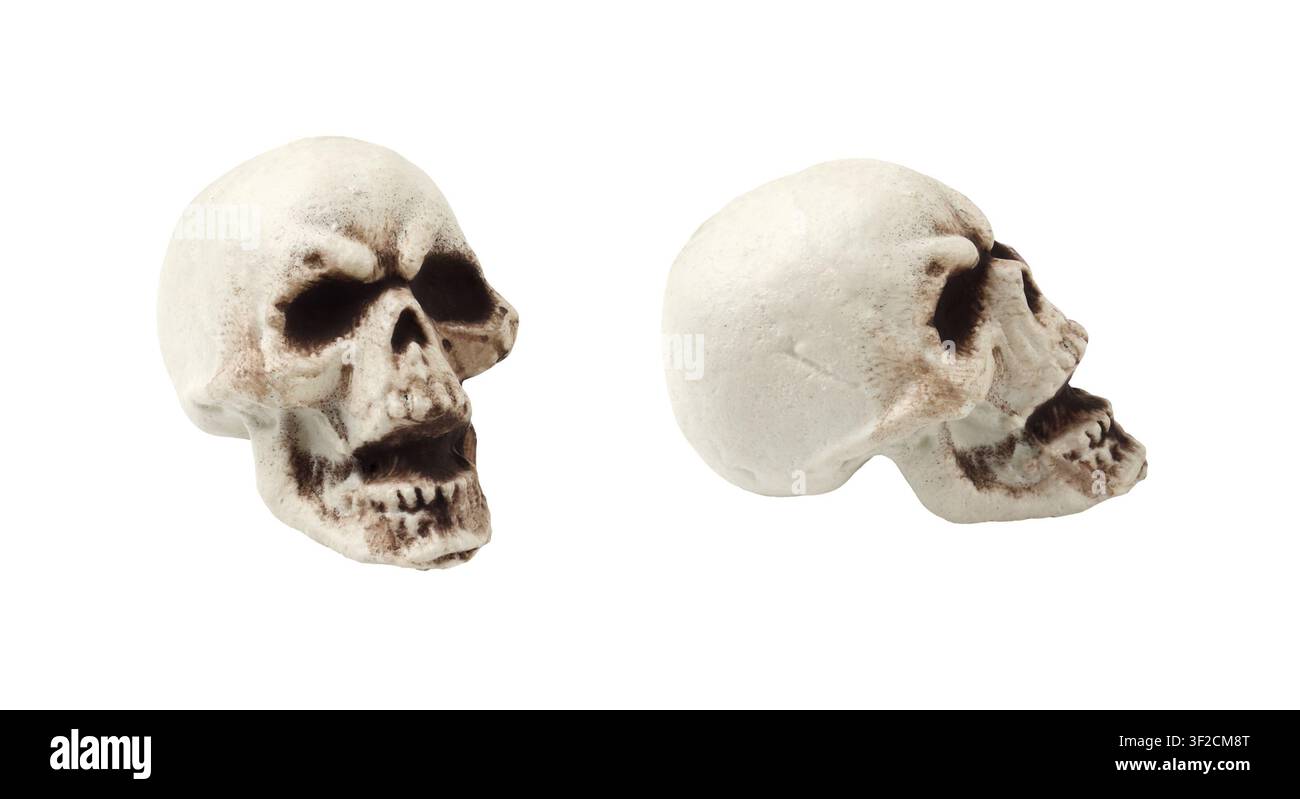 Set di teschi decorativi per la decorazione di Halloween isolati su bianco Foto Stock