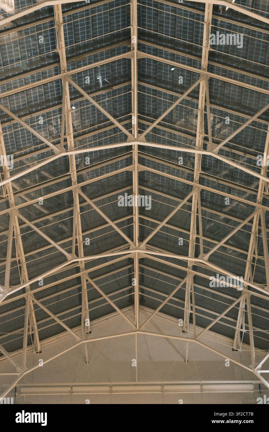 Vista simmetrica che guarda verso l'alto di un vasto soffitto a volta in vetro e acciaio, che mostra un'ingegneria architettonica intricata e motivi geometrici. Foto Stock