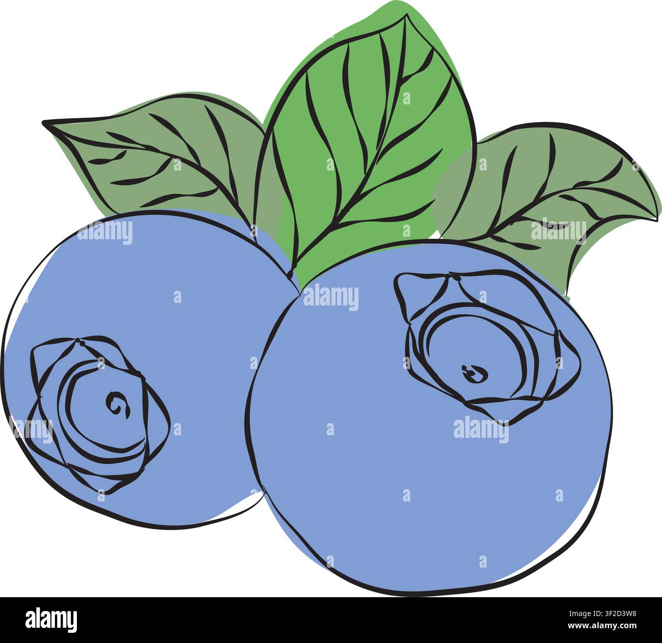 Raccolta di illustrazioni realistiche di mirtilli, set vettoriale pulito ideale per imballaggi, etichette e design di prodotti, illustrazione vettoriale di mirtilli Illustrazione Vettoriale