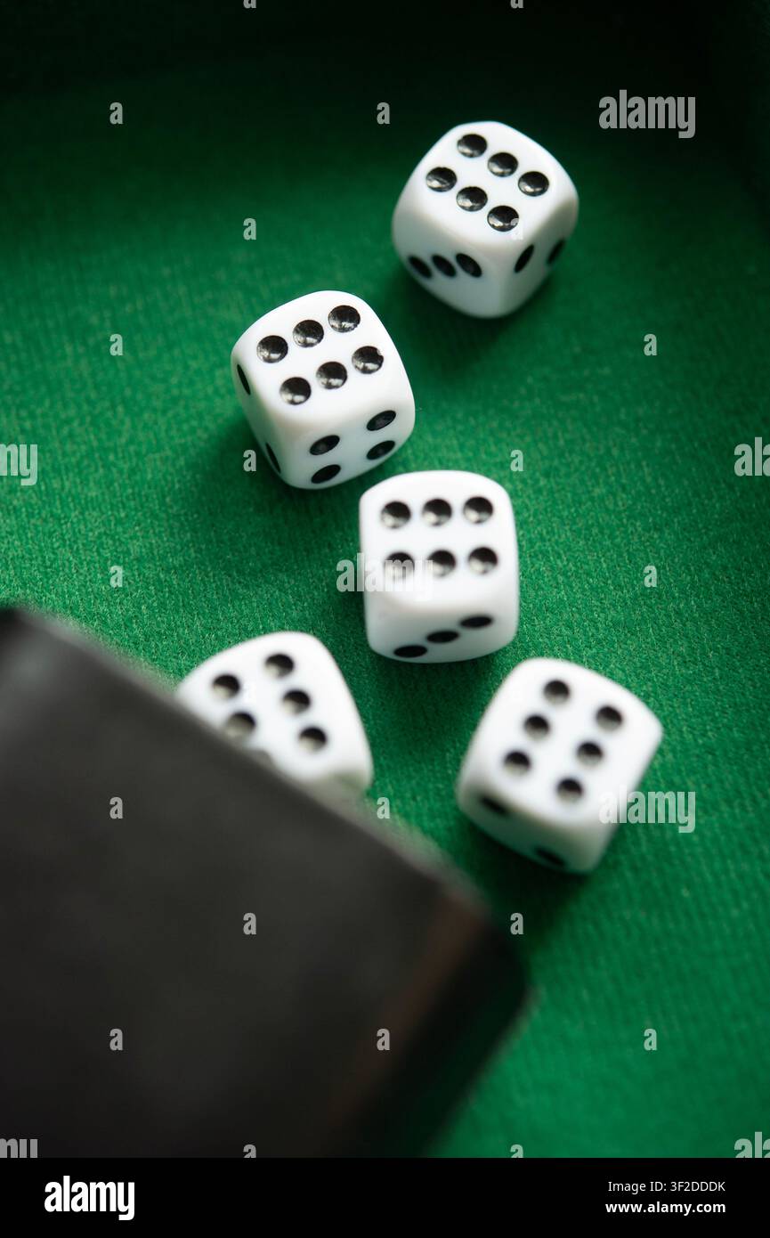 Cinque dadi bianchi che rotolano da una tazza nera su un tavolo da gioco in feltro verde, primo piano con messa a fuoco selettiva Foto Stock