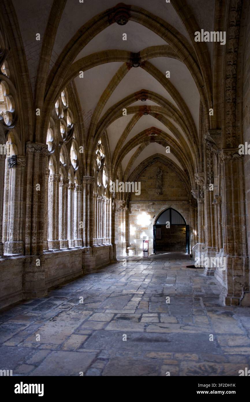 Prospettiva della galleria in pietra a volta della Cattedrale di Oviedo Spagna Foto Stock