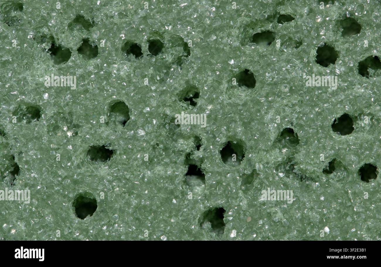 Sfondo in schiuma floreale verde poroso con fori per gli steli, dettagli in primo piano. Foto Stock