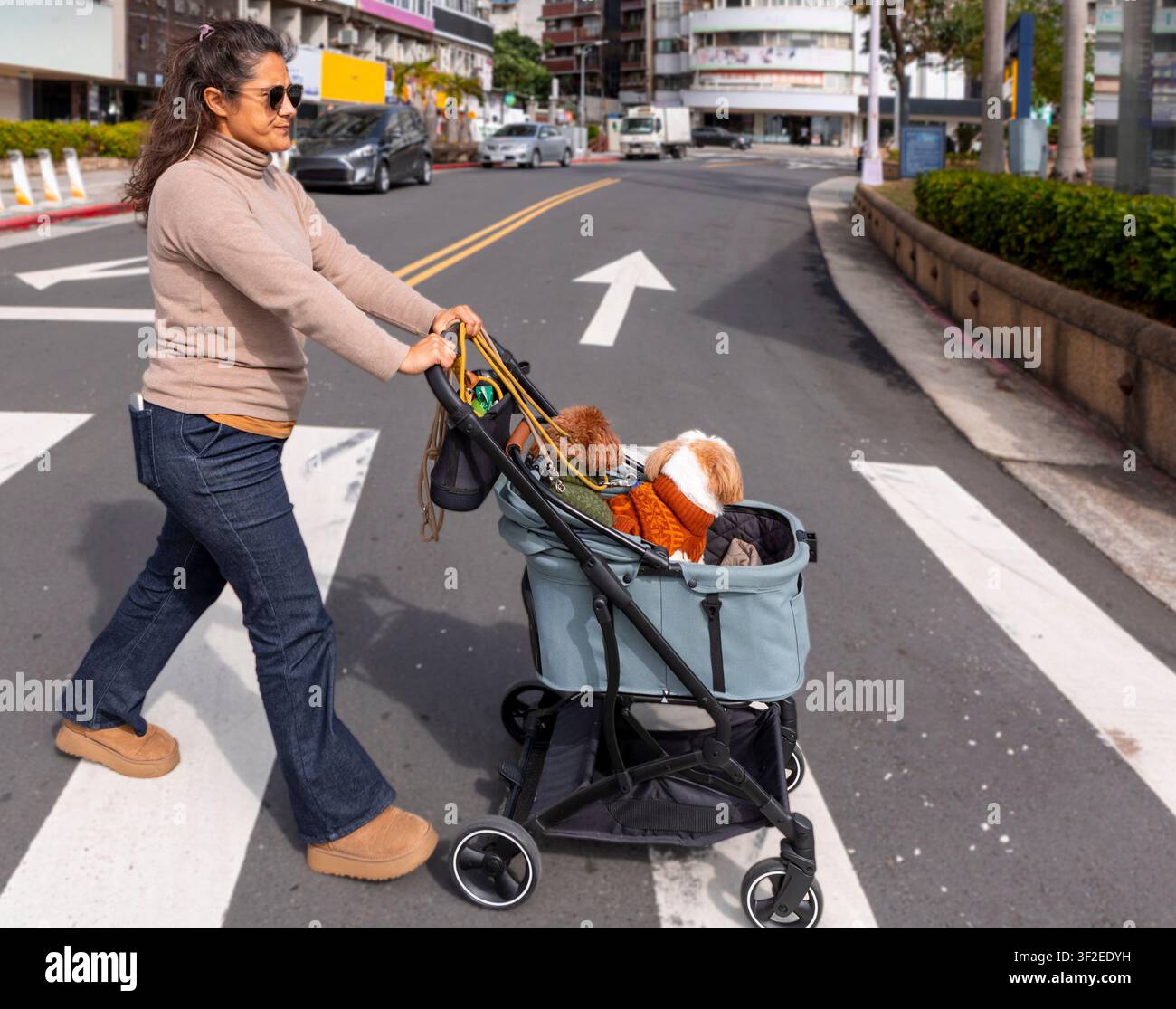 Una donna spinge un cane in un passeggino lungo una strada a Taiwan, illustrando un modo pratico e alla moda per trasportare gli animali domestici negli ambienti urbani. La sce Foto Stock