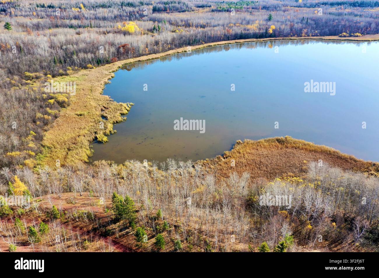 Vista a volo d'uccello di un lago isolato in Minnesota usando un drone Foto Stock
