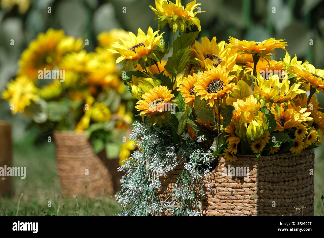 Mazzi di girasoli luminosi disposti in cesti intrecciati su un prato estivo soleggiato con sfondo sfocato morbido. Decorazione floreale rustica che simboleggia il raccolto, Foto Stock