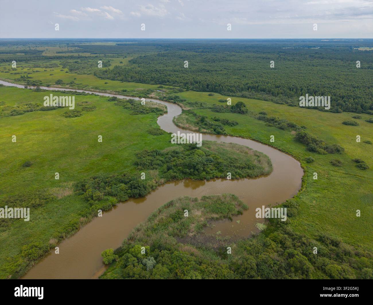 Inizio del fiume Emajõgi nel lago Võrtsjärv, Estonia Foto Stock