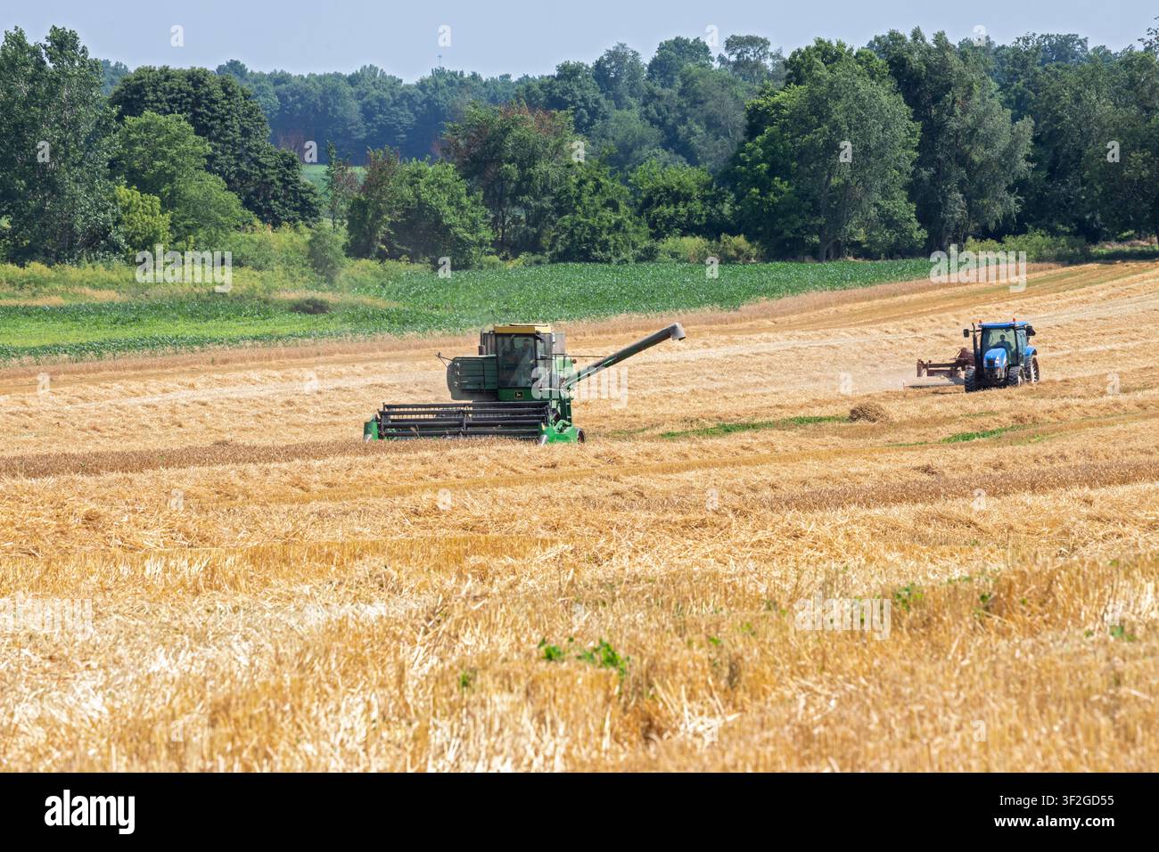 Bellevue, Ohio - Un piccolo mietitrebbia John Deere taglia il fieno in una fattoria dell'Ohio settentrionale. Foto Stock