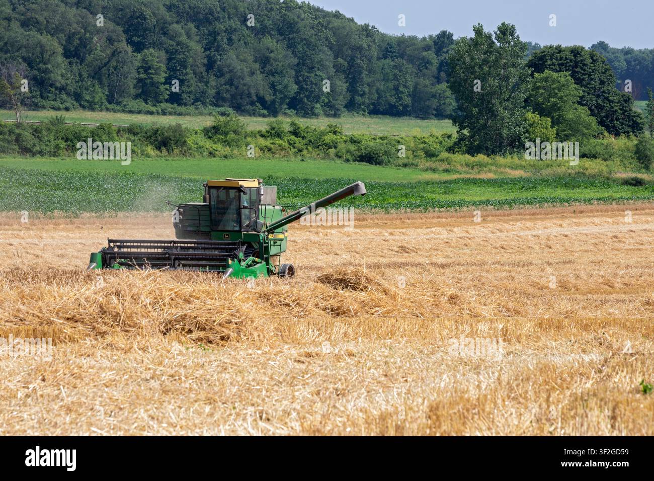 Bellevue, Ohio - Un piccolo mietitrebbia John Deere taglia il fieno in una fattoria dell'Ohio settentrionale. Foto Stock
